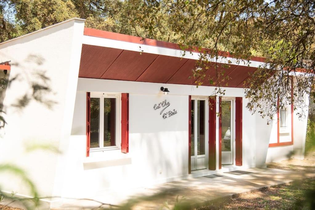 Villa Cat'Cha Ti Binta Ondres Buitenkant foto